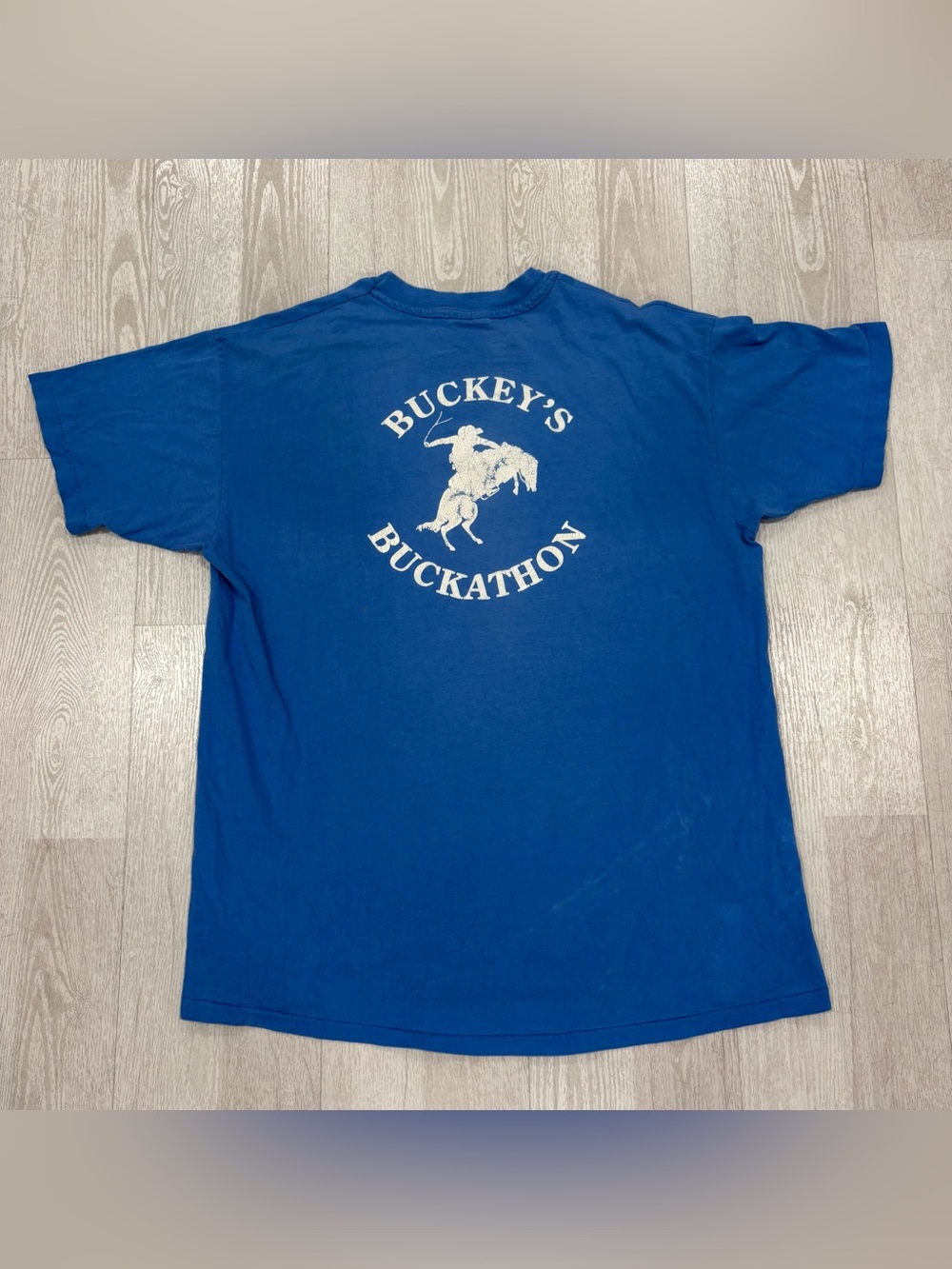 Vintage 90s Hanes Beefy-T Adirondack Bachelor Party Blue T Shirt XL